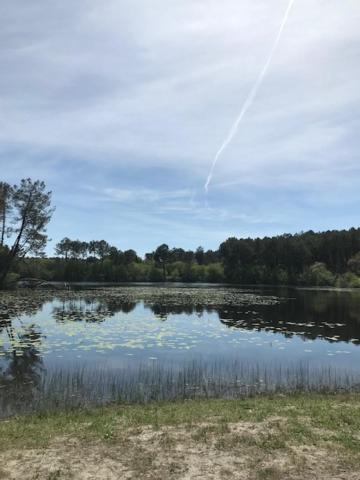 Village Vacances Aux Villages Sous Les Pins 莱昂 外观 照片