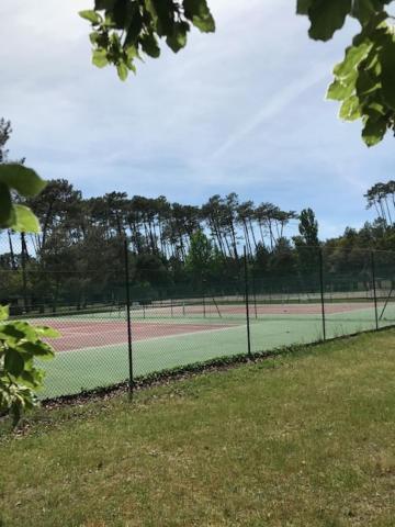 Village Vacances Aux Villages Sous Les Pins 莱昂 外观 照片