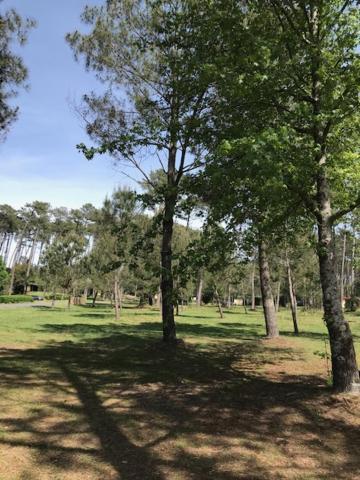 Village Vacances Aux Villages Sous Les Pins 莱昂 外观 照片